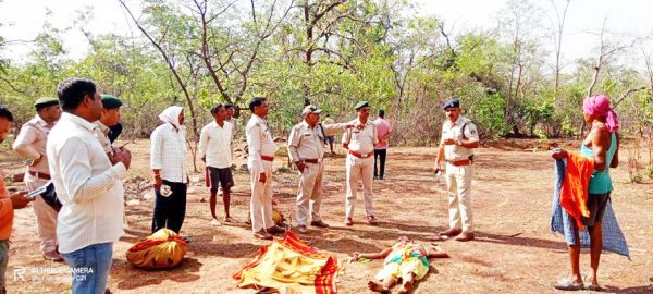 तेंदूपत्ता तोडऩे गई महिला को हाथी ने कुचला, मौत
