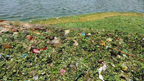 बूढ़ासागर की दुर्गंध बनी आफत, सरोवर में फैली गंदगी से संक्रमण का खतरा