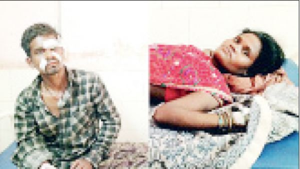 तेन्दूपत्ता तोड़ रहे दंपत्ति पर भालू का हमला, इलाज के बाद छुट्टी