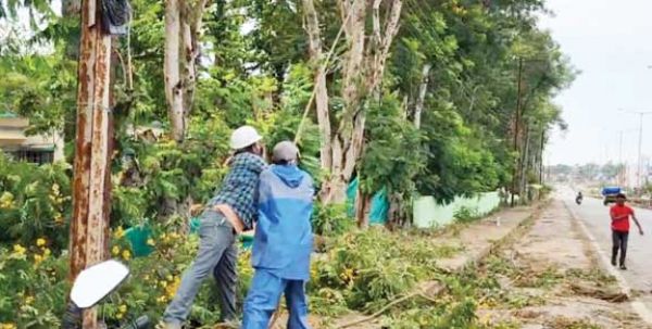 तेज बारिश और हवाओं से पेड़ गिरे, बिजली गुल