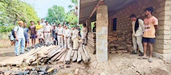  2 लाख की सागौन चिरान जब्त जमीन में गाड़ कर रखी गई थी