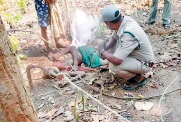 हाथी ने बुजुर्ग को कुचलकर मारा, रायगढ़ के जंगलों में 132 हाथी कर रहे विचरण