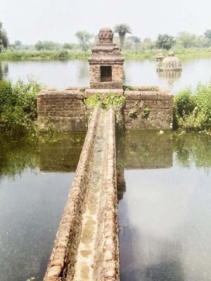 100 वर्ष पुराने शिव मंदिर में शताब्दी महोत्सव 