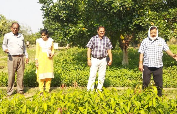 पर्याप्त पानी के अभाव में मुरझाने लगे रोपणी के पेड़ पौधे