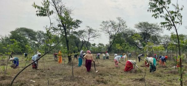 मनरेगा से संवर रहा नवागांव का ऑक्सीजोन