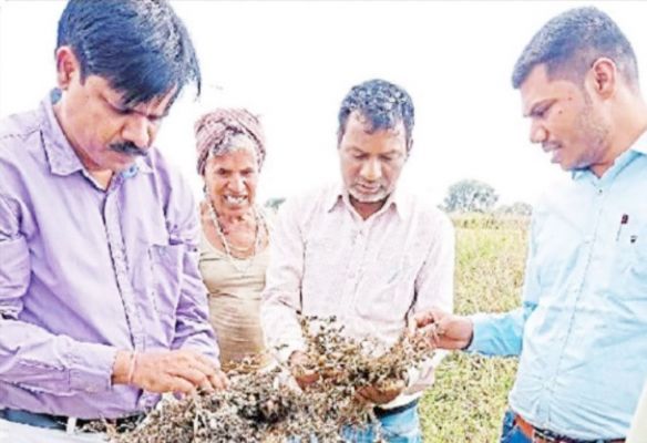 ओलावृष्टि व आंधी तूफान से प्रभावित किसानों को राशि जारी