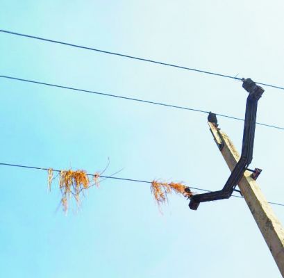 रबी फसलों की मिसाई से विद्युत लाईनों में आ रही शिकायतें