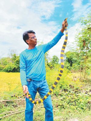 रिहायशी इलाके में सांप निकला, सुरक्षित पकडक़र जंगल में छोड़ा