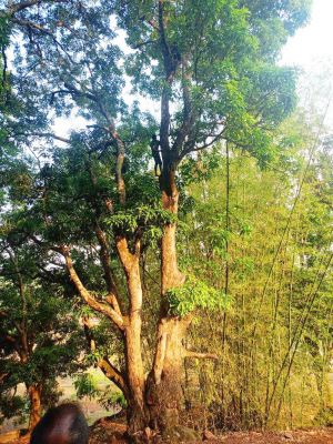 खुदकुशी की कोशिश पुलिस ने बचाई जान