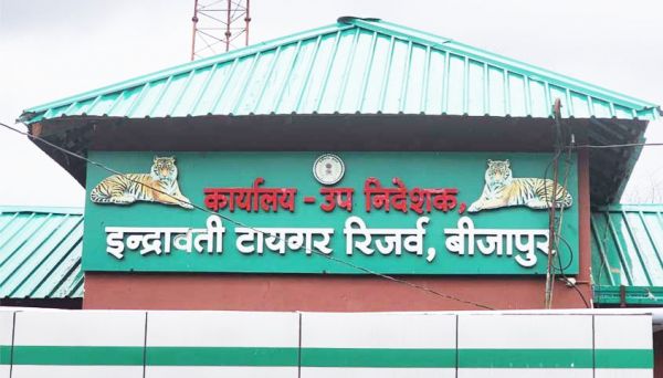 इंद्रावती टाइगर रिजर्व के जंगलों में जानवरों की तस्करी रोकने विभाग विफल