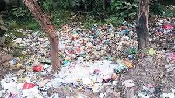 पालिका डंपिंग यार्ड में बिखरी पड़ी है कालातीत सरकारी दवाइयां