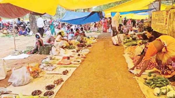 बीजापुर में नक्सल बंद बेअसर, साप्ताहिक बाजार में दिखी रौनक