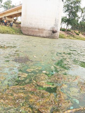 24 गांव के बाशिंदे पी रहे राइस मिल का गंदा पानी