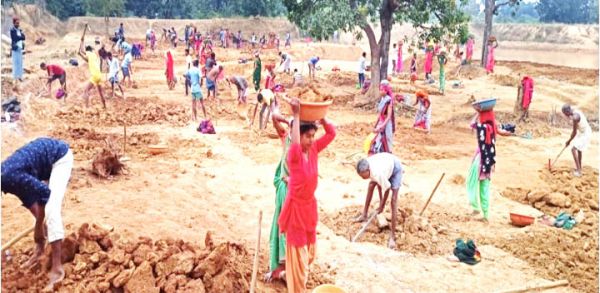 जिले के प्रत्येक ग्राम पंचायतों में मनरेगा मजदूरों को मिल रहा काम