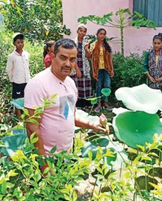 विद्यालय परिसर में पौधरोपण, देखभाल भी