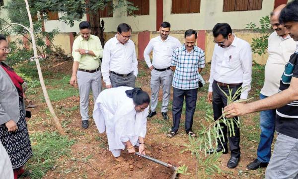 न्यायालय भवन परिसर में पौधरोपण