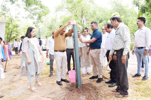 कलेक्टोरेट परिसर में कलेक्टर ने किया पौधरोपण