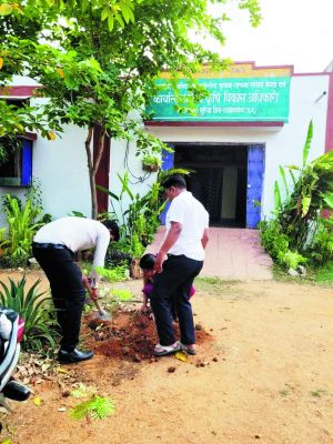 विश्व पर्यावरण दिवस पर जिले में पौधरोपण