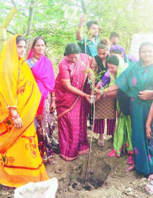 विश्व पर्यावरण दिवस : तीन स्थानों पर 130 पौधों का रोपण