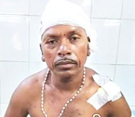 भालुओं के हमले से ग्रामीण घायल 