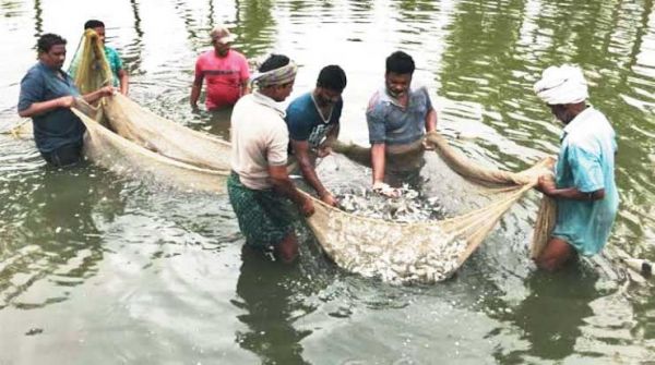 16 जून से 15 अगस्त तक मत्स्याखेट पर लगी रोक