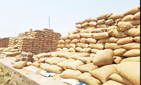 फड़ से अभी तक धान का उठाव नहीं,  प्रभारी परेशान