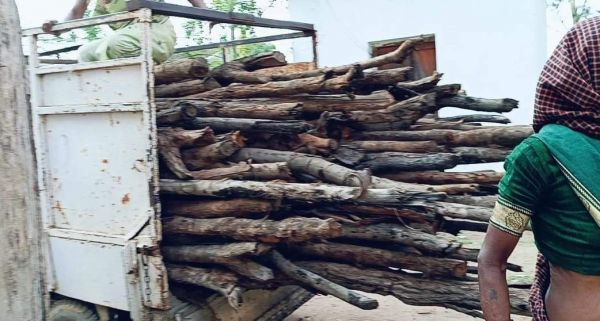 बिना नाप-तौल जब्त लकड़ी की बिक्री