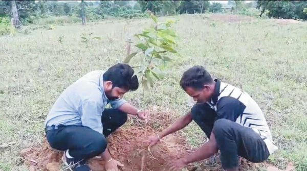 युवा मिलन समारोह में पौधारोपण