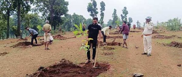 वृक्षारोपण का नामकरण करते हुए मैनपाट यूथ ने लिया गोद