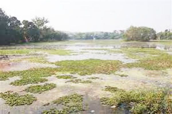 धीमी रफ्तार से काम, एक साल और करना होगा इंतजार