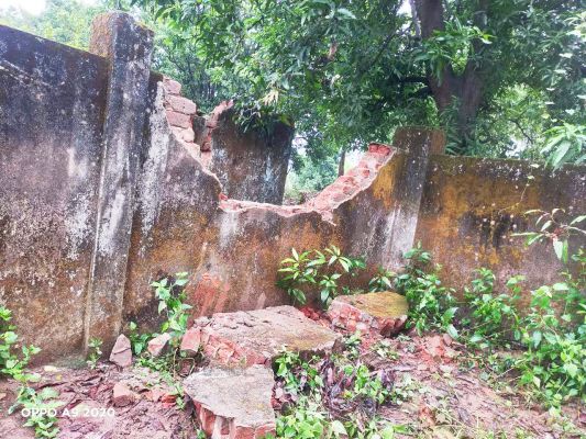 हाथी ने ढहाया गर्ल्स हॉस्टल का अहाता 
