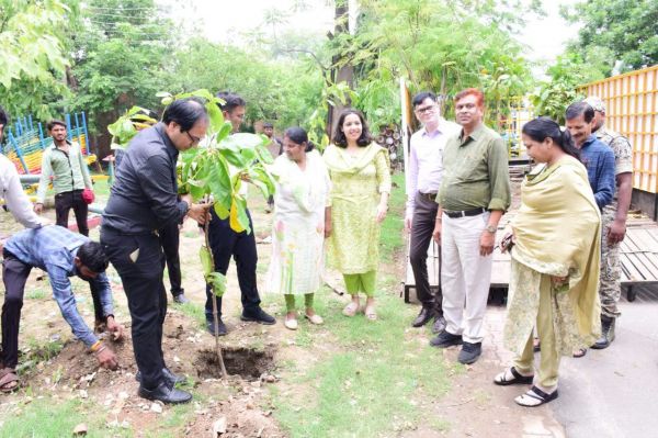 बारिश में अधिक से अधिक छायादार एवं फलदार लगाएं पौधे