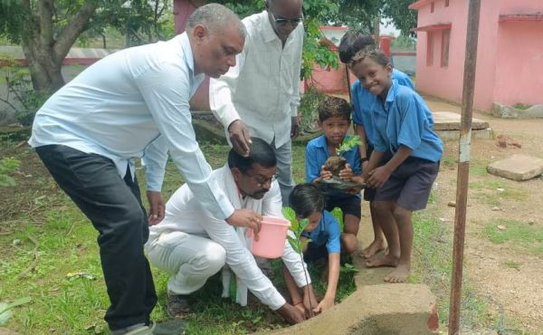जिलेभर में लगाए गए 40 हजार से अधिक पौधे