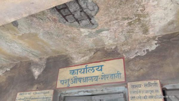 खंडहर में तब्दील होता पशु-औषधालय
