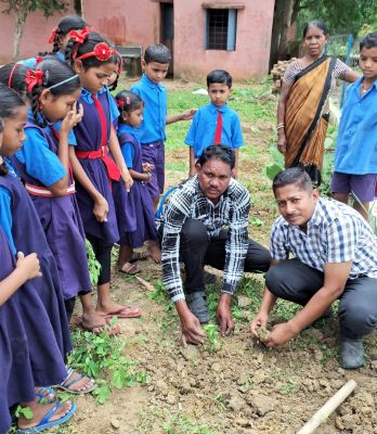 एक पेड़ मां के नाम, दलदली में पौधरोपण