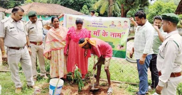 स्कूल परिसर में पौधरोपण
