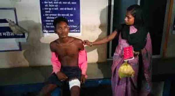 पुटु बीनने गए युवक पर सुअर का हमला  
