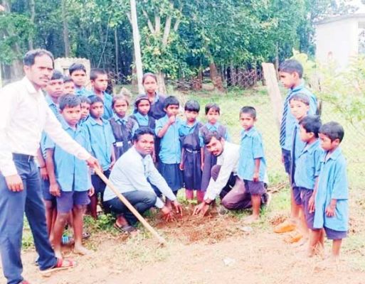स्कूल में पौधारोपण