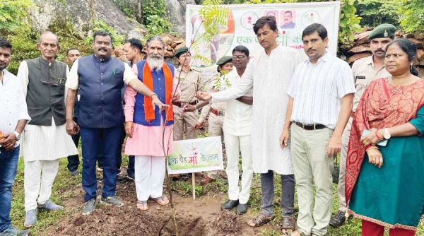 बटराली में महा वृक्षारोपण सांसद-विधायक ने रोपे पौधे