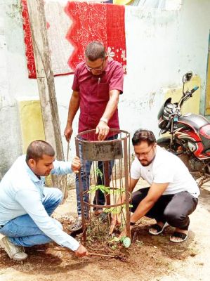 स्वास्थ्य केन्द्रों में पौधरोपण