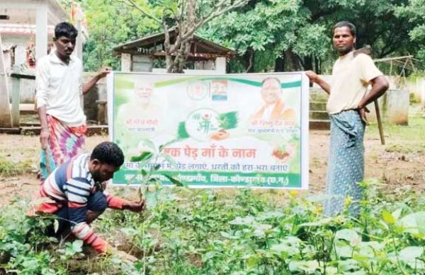 मातागुड़ी, देवगुड़ी, धरोहरों के आसपास पौधारोपण