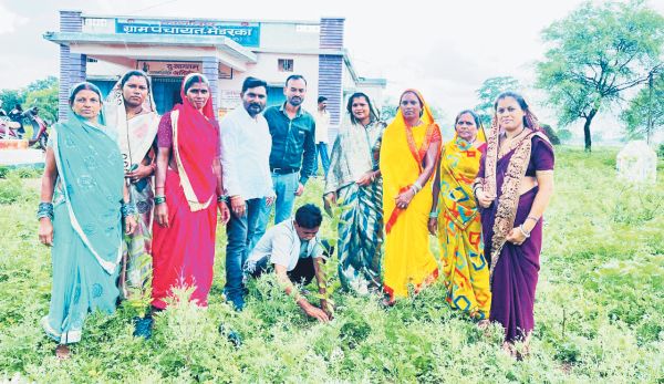 मेंडरका में एक पेड़ मां के नाम के तहत लगे पौधे