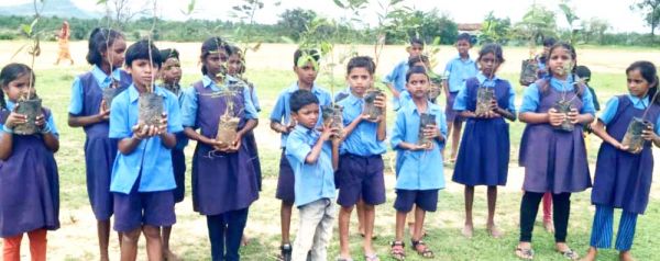 पर्यावरण संतुलन बनाए रखने वृक्षारोपण जरूरी