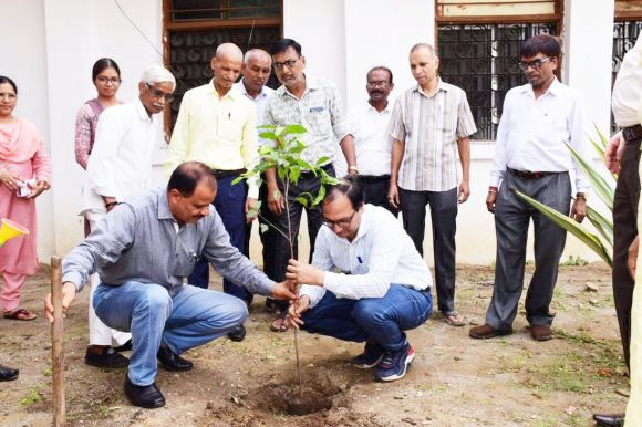 कलेक्टोरेट परिसर में पौधरोपण