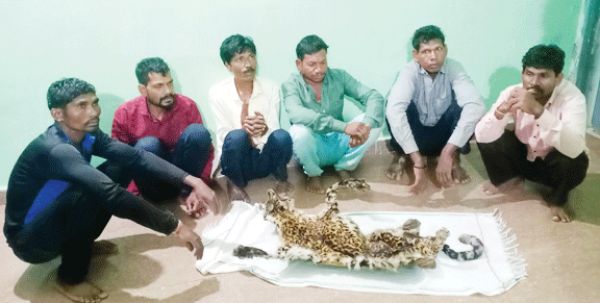  तेंदुए की खाल संग 6 गिरफ्तार