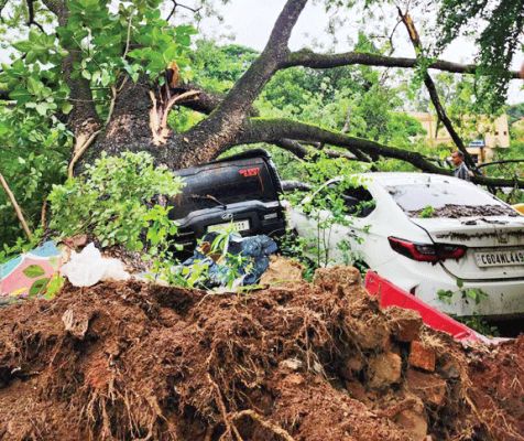 घंटे भर की बारिश, निचली बस्तियों में भरा पानी, पेड़ धराशायी