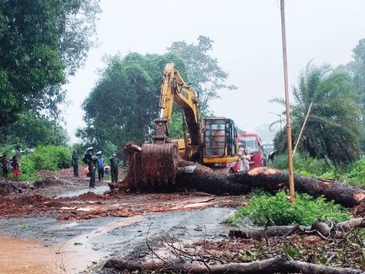 आंधी-बारिश से गिरा पेड़, घंटों आवागमन ठप