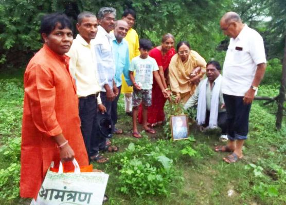 पत्रकार कालोनी  में पौधरोपण
