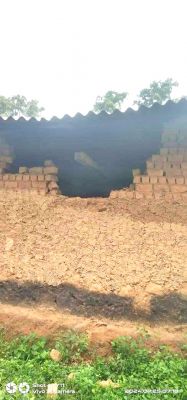 हाथी के उत्पात से ग्रामीण परेशान, फिर तोड़े 3 मकान