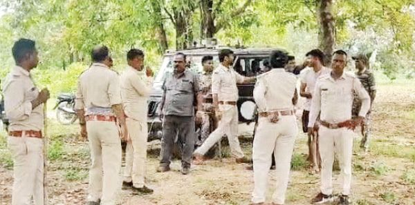 हाउसिंग बोर्ड कॉलोनी में पौधारोपण